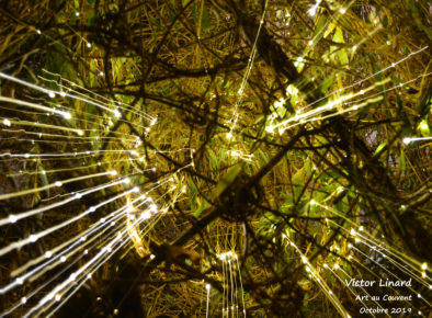 Une goutte de Vannerie Artiste: Victor Linard